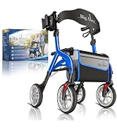 Amazon | ビグアレクス（BigAlex） 歩行器 四輪歩行車 シルバーカー